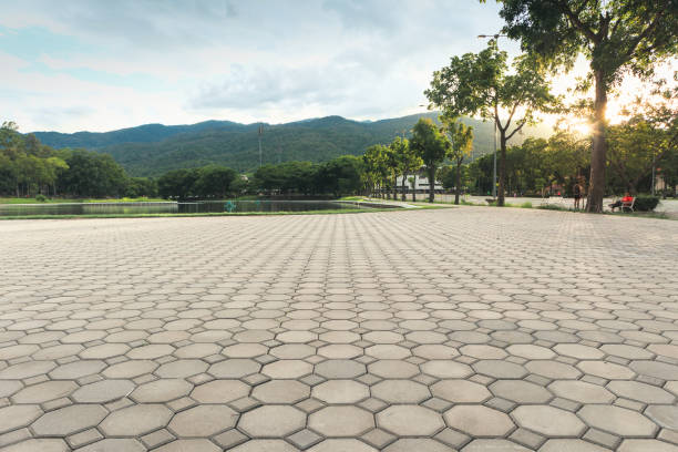 Best Driveway Repair Near Me  in Celina, TX